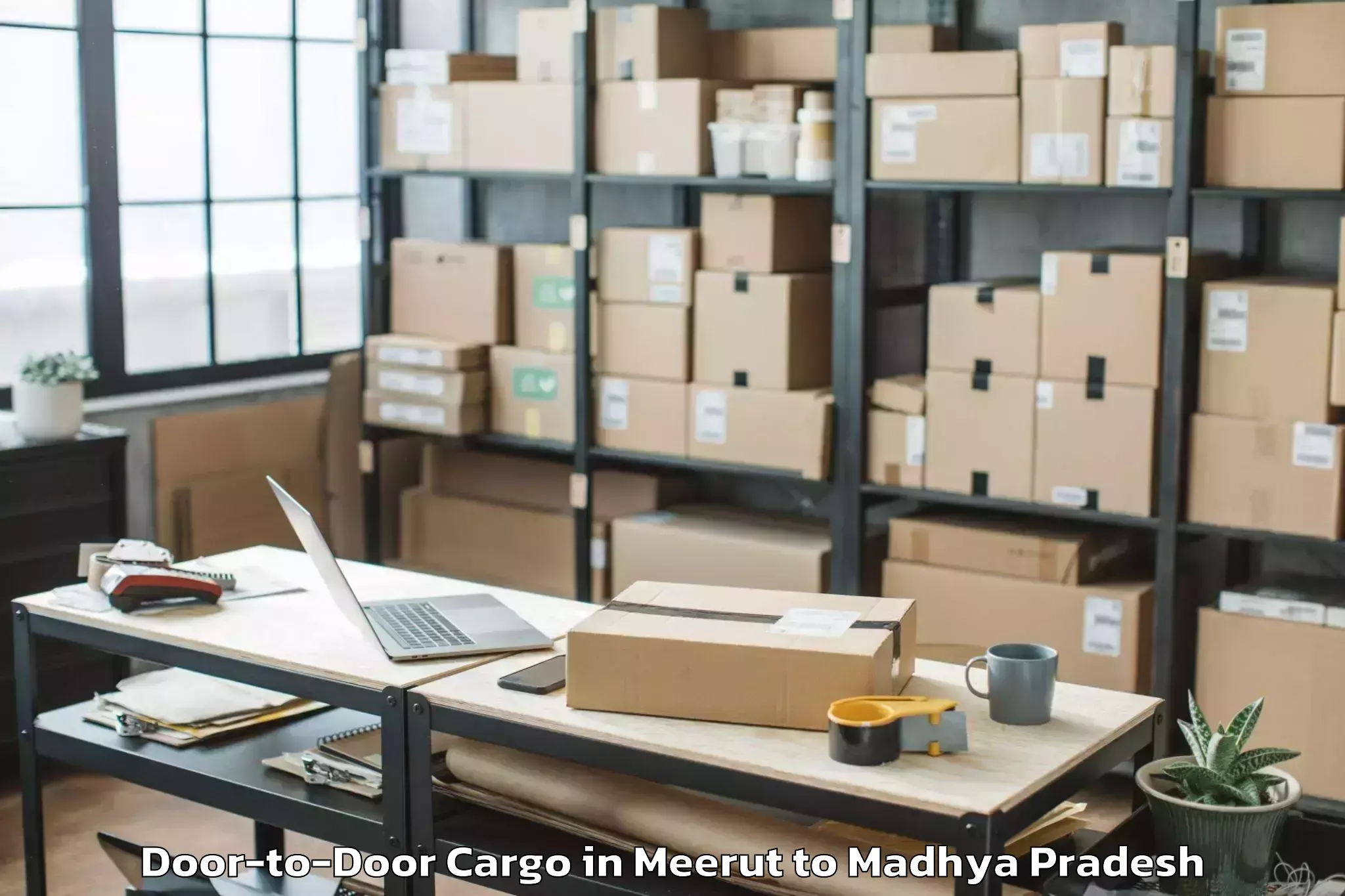 Top Meerut to Dhamnod Door To Door Cargo Available